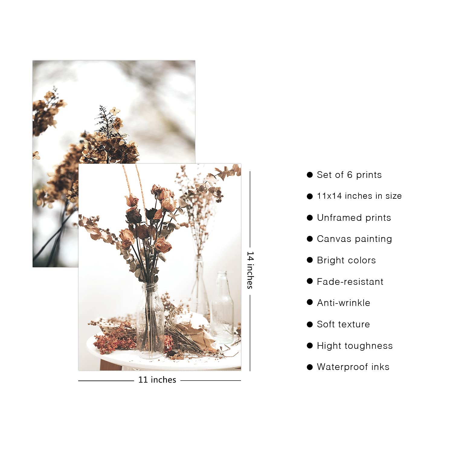 Hoozgee Botanical Wall Art Prints Set Of 6 Canvas Art Wall Decor Print Nature Pictures Reed Dried Flower Plant Wall Poster Print