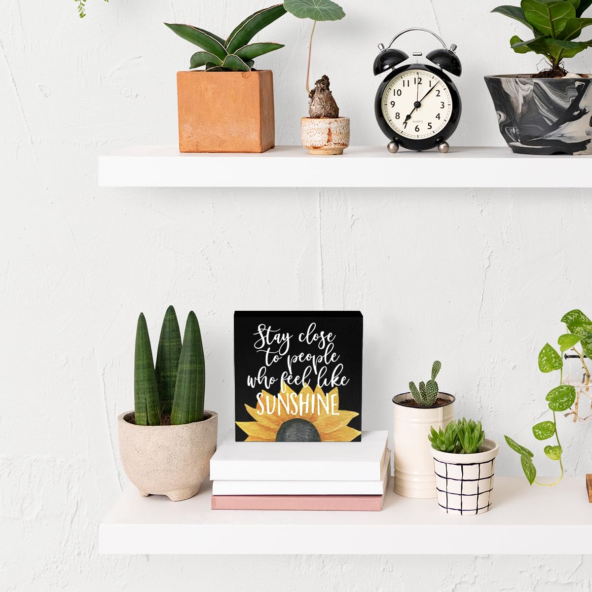 IYEZH Summer Decor Watermelon Wood Box Sign 5 x 5 Inches Desk Decor Rustic Country Wooden Square Sign Decor Watermelon Summer De