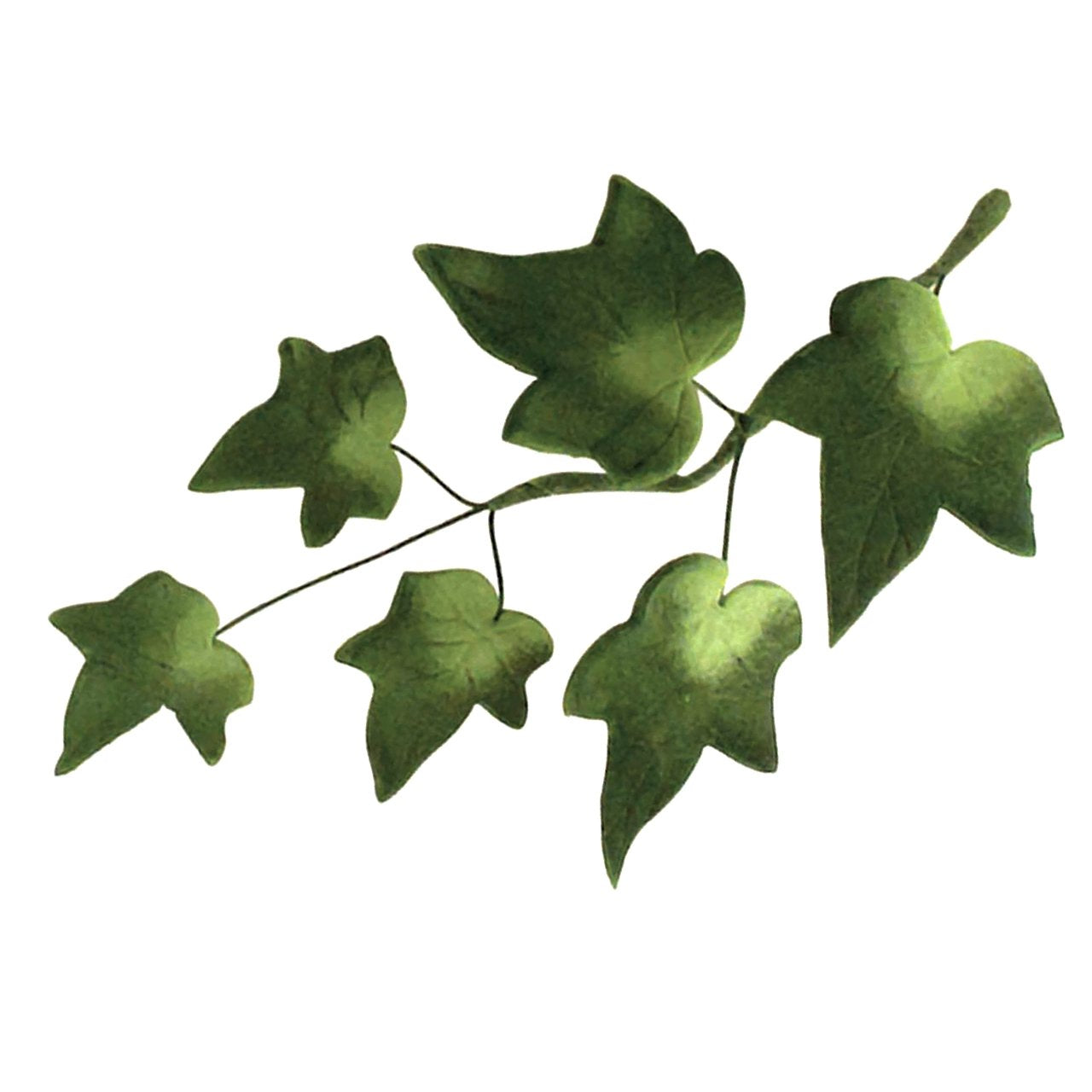 Jem Small Ivy, Cake Decorating, Set Of 4 Fondant Cutters