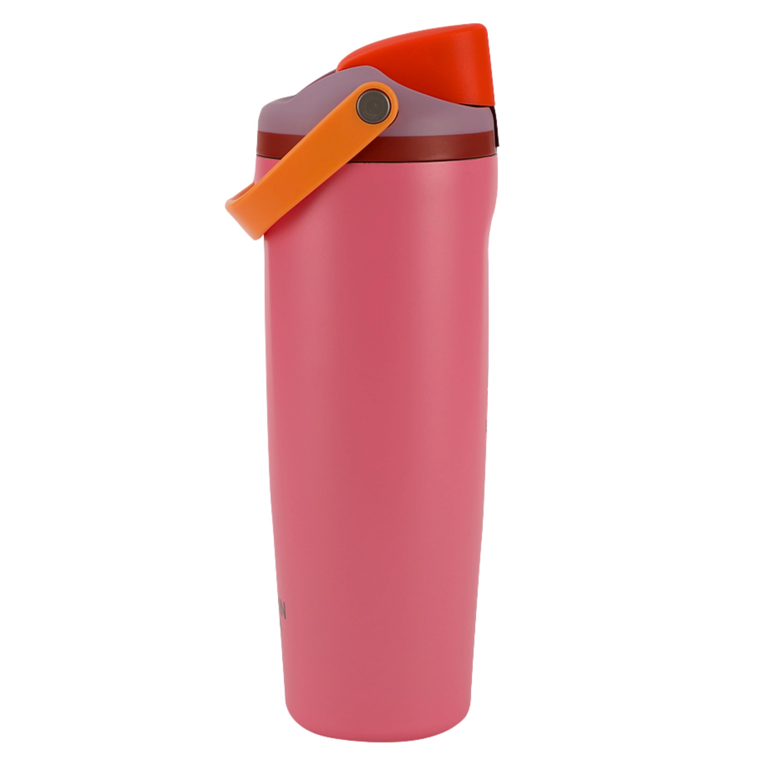 Sarvin Aqua DualSip 30oz Insulated Stainless Steel Water Bottle with TwoWay Spout, BuiltIn Straw and Carry Handle  Made for T