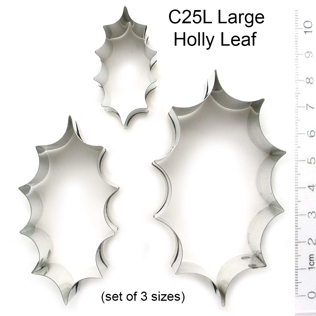 Large Holly Leaf (Set Of 3 Sizes) By Wsa