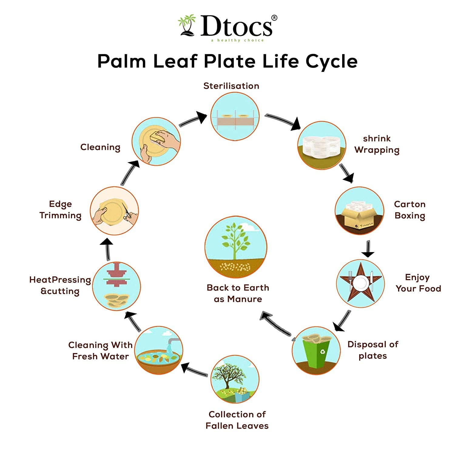 Dtocs Bamboo Plate Disposable Like 8 Inch Square Palm Leaf Plate (50) | Elegant  Sturdy  Compostable Dessert  Cake  Appetizer  Mini Dinner Plate Alternate to Party Plastic  Wooden  8'' Paper Plates