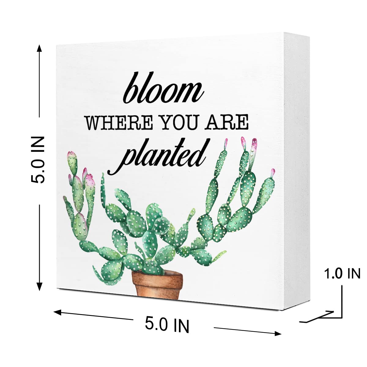 Bloom Where You are Planted Wooden Sign Desk Decor,Farmhouse Cactus Wood Block Sign Desk Decorations for Home Kitchen Room Garde