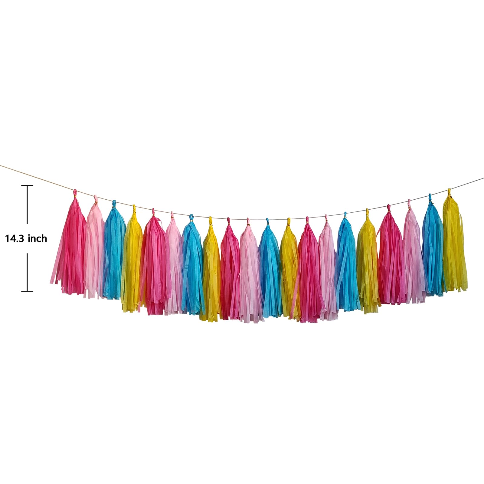 ZOOYOO Tassel Garland Tissue Paper Tassel Banner,Table Decor,DIY Kits for Various Party, Tassels Party Decoration,Pack of 20(Hot