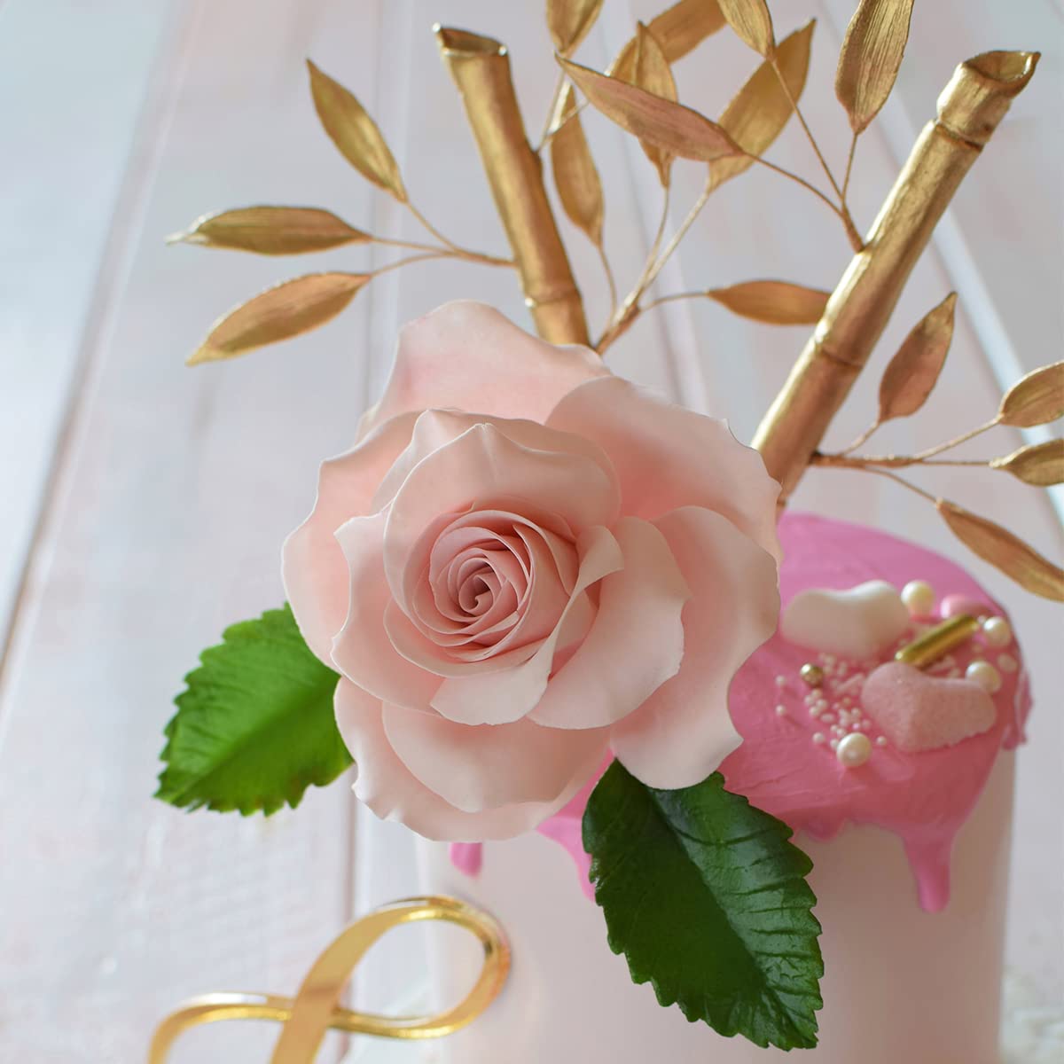 Flower Pro Ultimate Petal Veiner Silicone Molds. A Front & Back Petal Veiner For Fondant, Gum Paste, Sugar Paste & Air Dry Clay