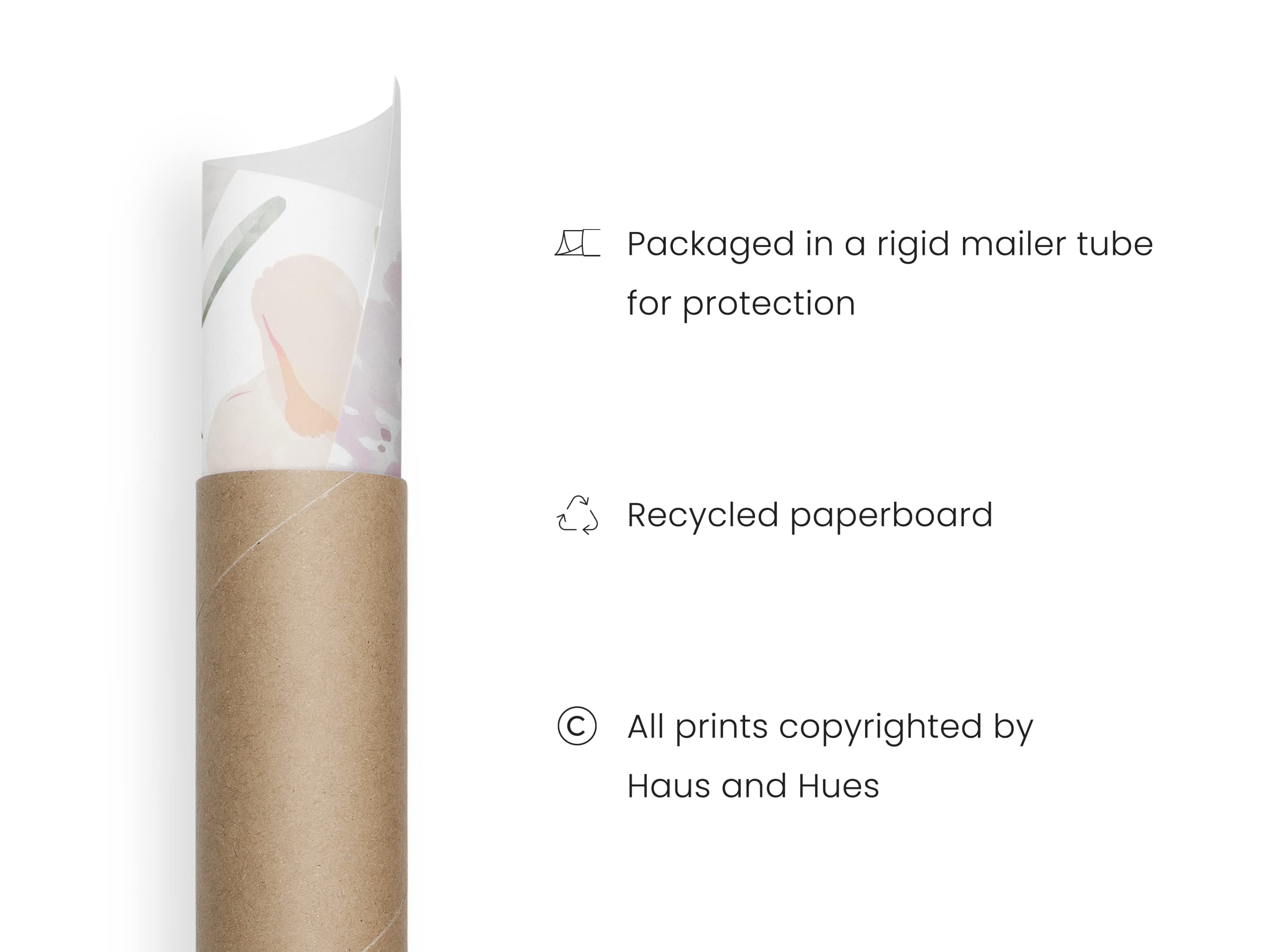 HAUS AND HUES Botanical Prints - Set of 4 Flower Poster Flower Pictures Wall Decor  Floral Prints Wall Flower Pictures  Flowers Posters Flower Prints Floral Botanical Prints (16x20  Unframed)