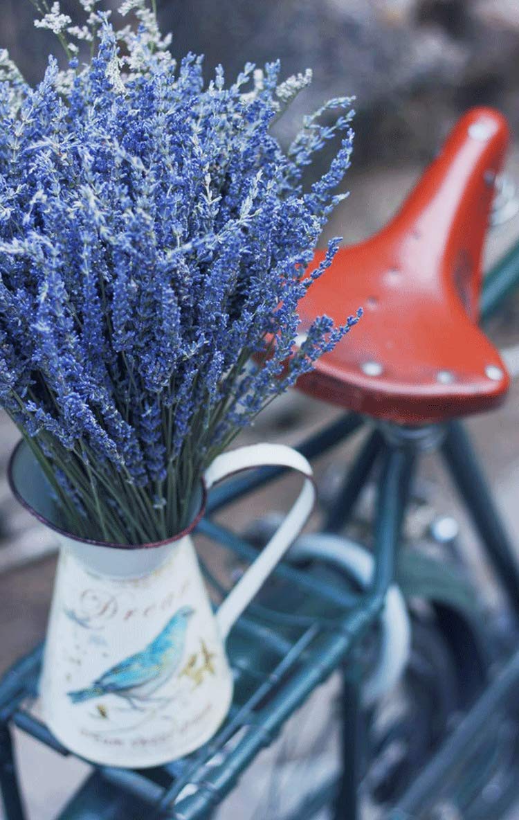 TooGet Natural Lavender Bundles  Freshly Harvested 200+ Stems Dried Lavender Bunch 16'' - 18'' Long  Decorative Flowers Bouquet for Home Decor  Crafts  Gift  Wedding or Any Occasion