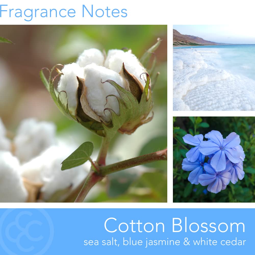 Colonial Candle Cotton Blossom Scented Jar Candle | 2-Wick Natural Soy Blend Wax Candle for Home | Relaxing Aromatherapy Candle