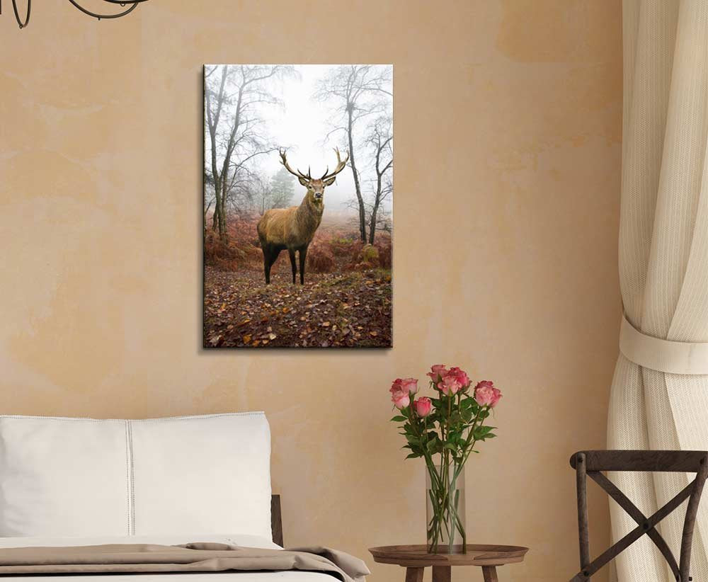 Canvas Prints Wall Art - Beautiful Red Deer/Stag In Foggy Misty Forest Landscape In Autumn/Fall | Modern Wall Decor/Home Art Str