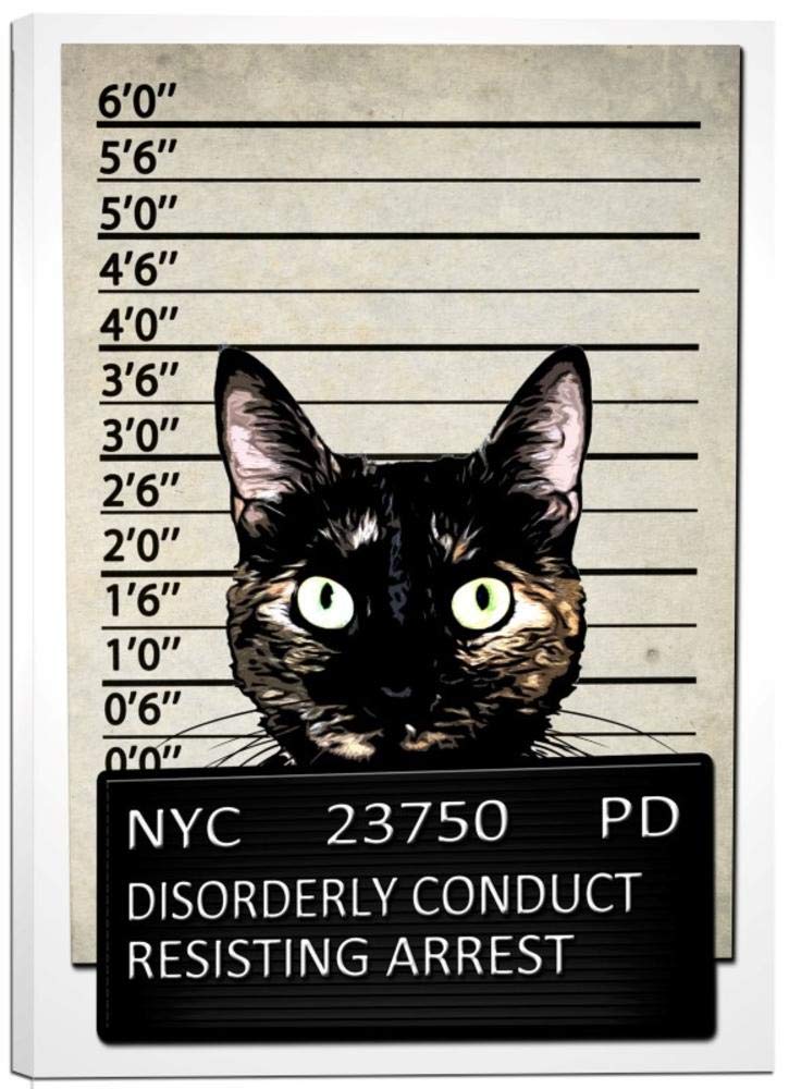 Cortesi Home ''Kitty Mugshot'' By Nicklas Gustafsson, Giclee Canvas Wall Art, 12 By 18-Inch