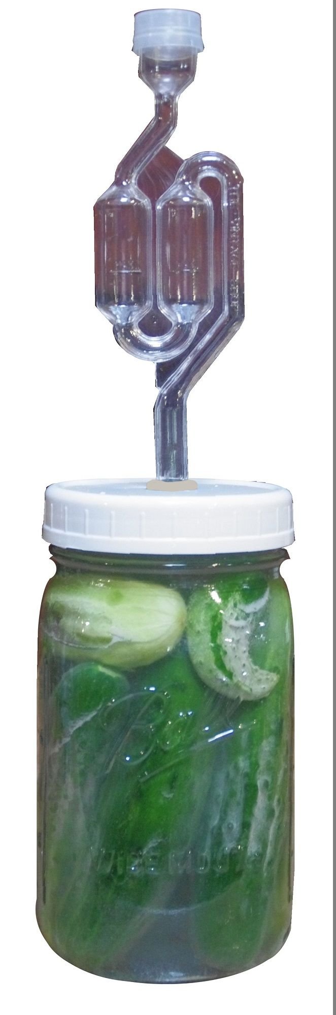 The Picklemeister Glass Fermentation Jar (Picklemeister Wide Mouth Quart)