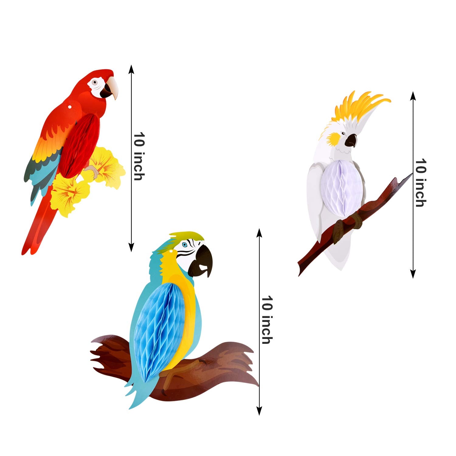 Tuparka 6 Pieces Tropical Birds Honeycomb Parrot Hawaiian Summer Beach Tiki Bar Luau Party Home Classroom Hanging Decorations(Pa