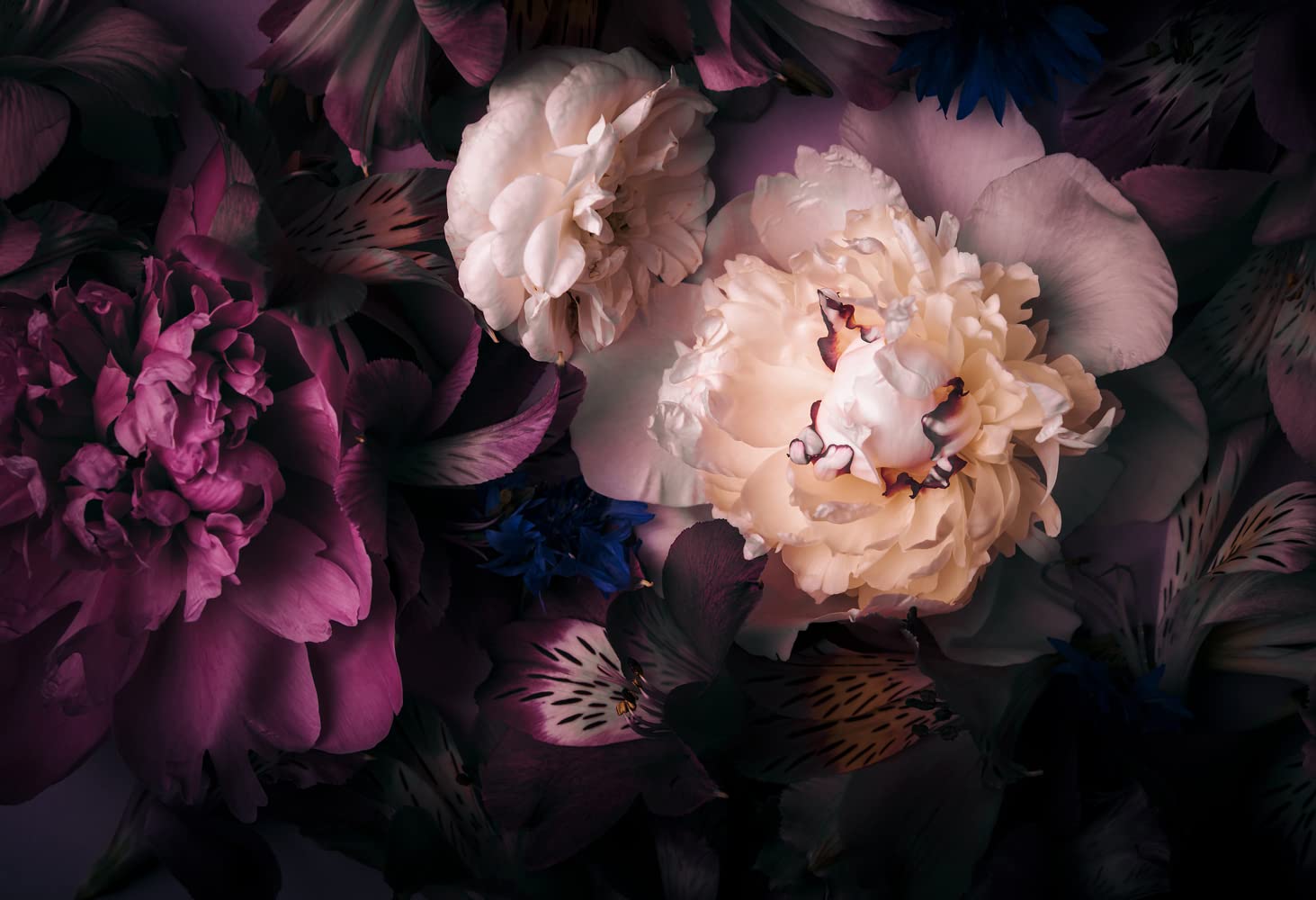 Mfwfm Dark Floral Wallpaper Peony Flowers Wall Mural Wallpaper For Girls Bedroom (Not Peel N' Stick)