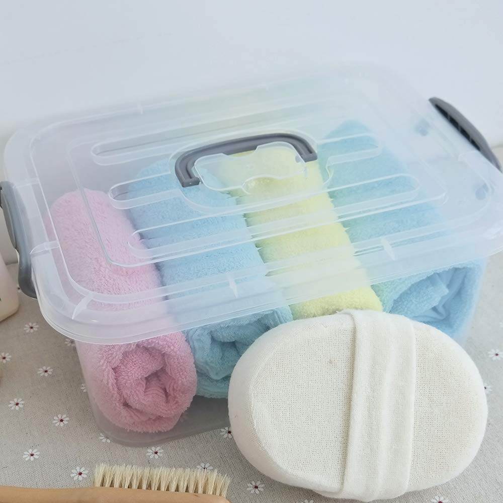 Kekow 2-Pack Clear Storage Latch Box, Plastic Containers With Lids, 8 L