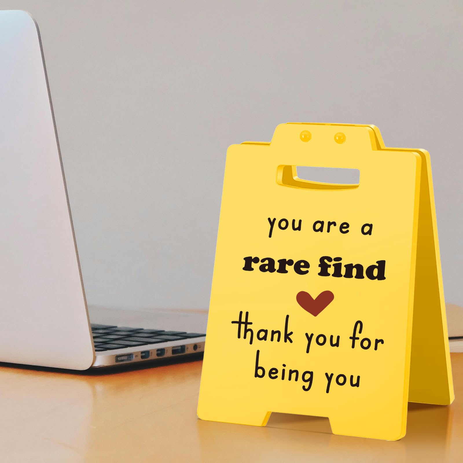 You Are A Rare Find Desk Sign, Appreciation Gifts for Coworkers, Friends | Office Cubicle Decorations for Women Desk, Thank you