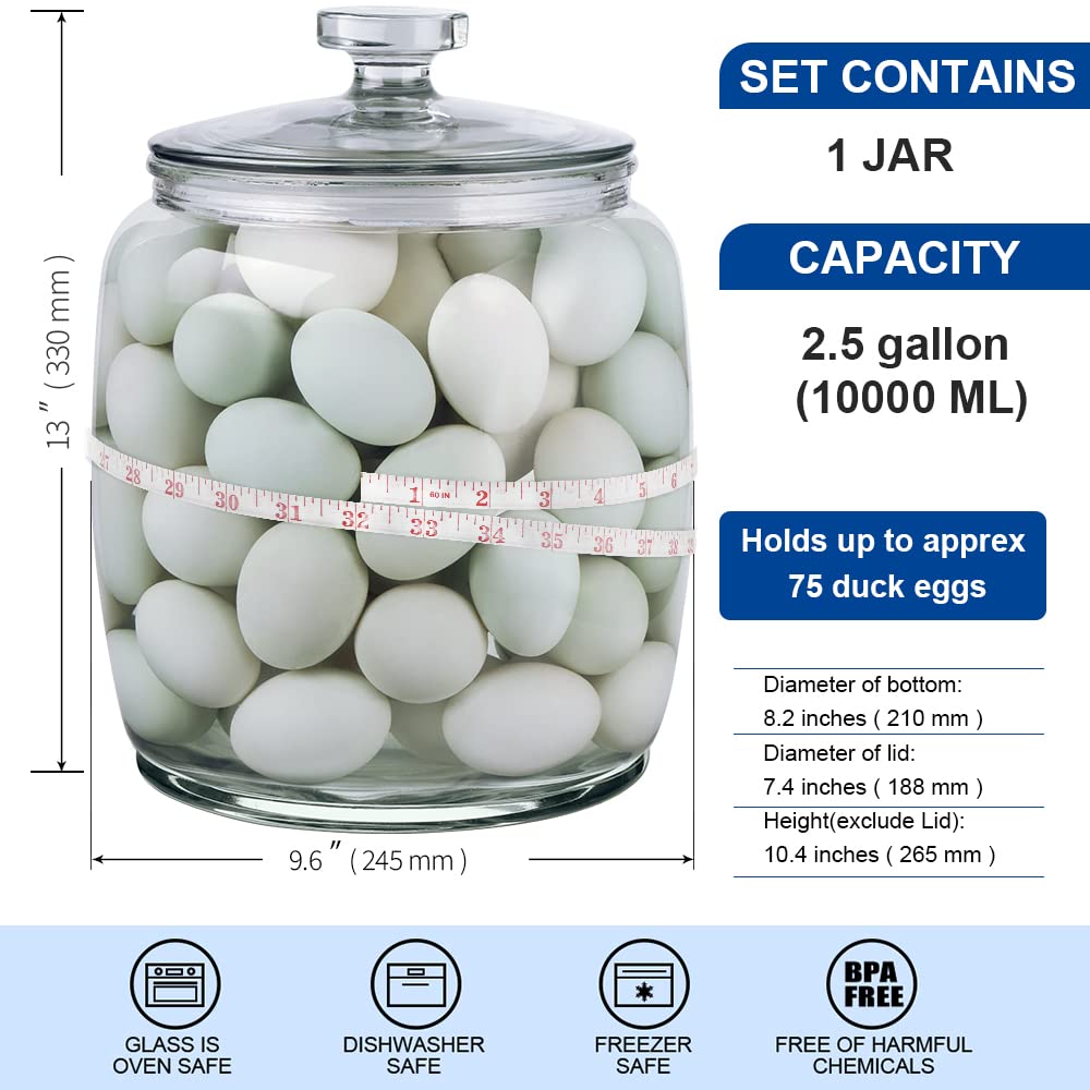 Daitouge 2.5 Gallon Glass Jars With Lids, Large Cookie Jars With Wide Opening, 1 Pack Glass Storage Jars With Lids For Kitchen,