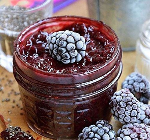 Ball Mason 4Oz Quilted Jelly Jars With Lids And Bands, Set Of 2