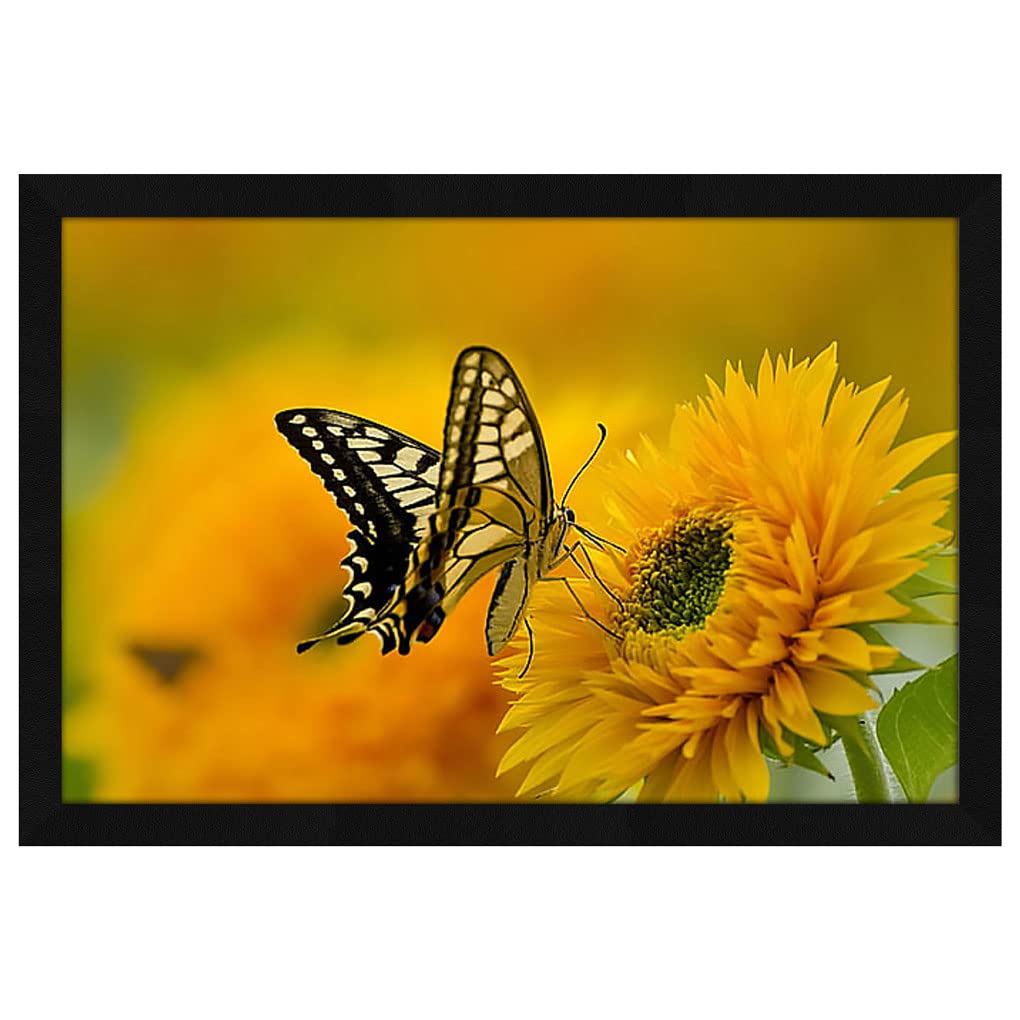 Jitesh Arts Decorative Wall Art Unique Butterfly Yellow Sunflower Original Sunrise Painting For Home Office Kitchen Bedroom Dini