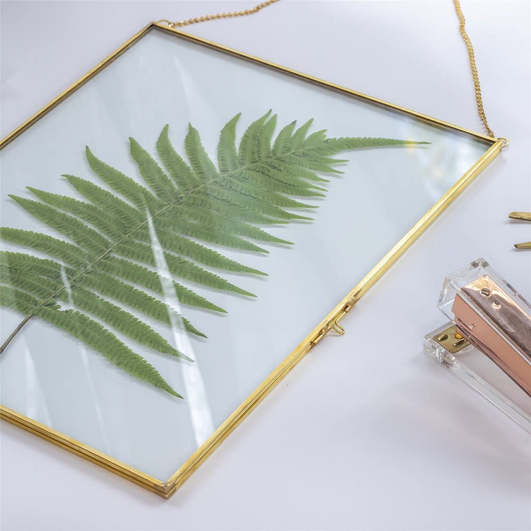 Artinco Art India Collections Hanging Brass Glass Photo Frame For Dried Flowers, Pressed Flowers, Poster, Double Glass Frame, Gl