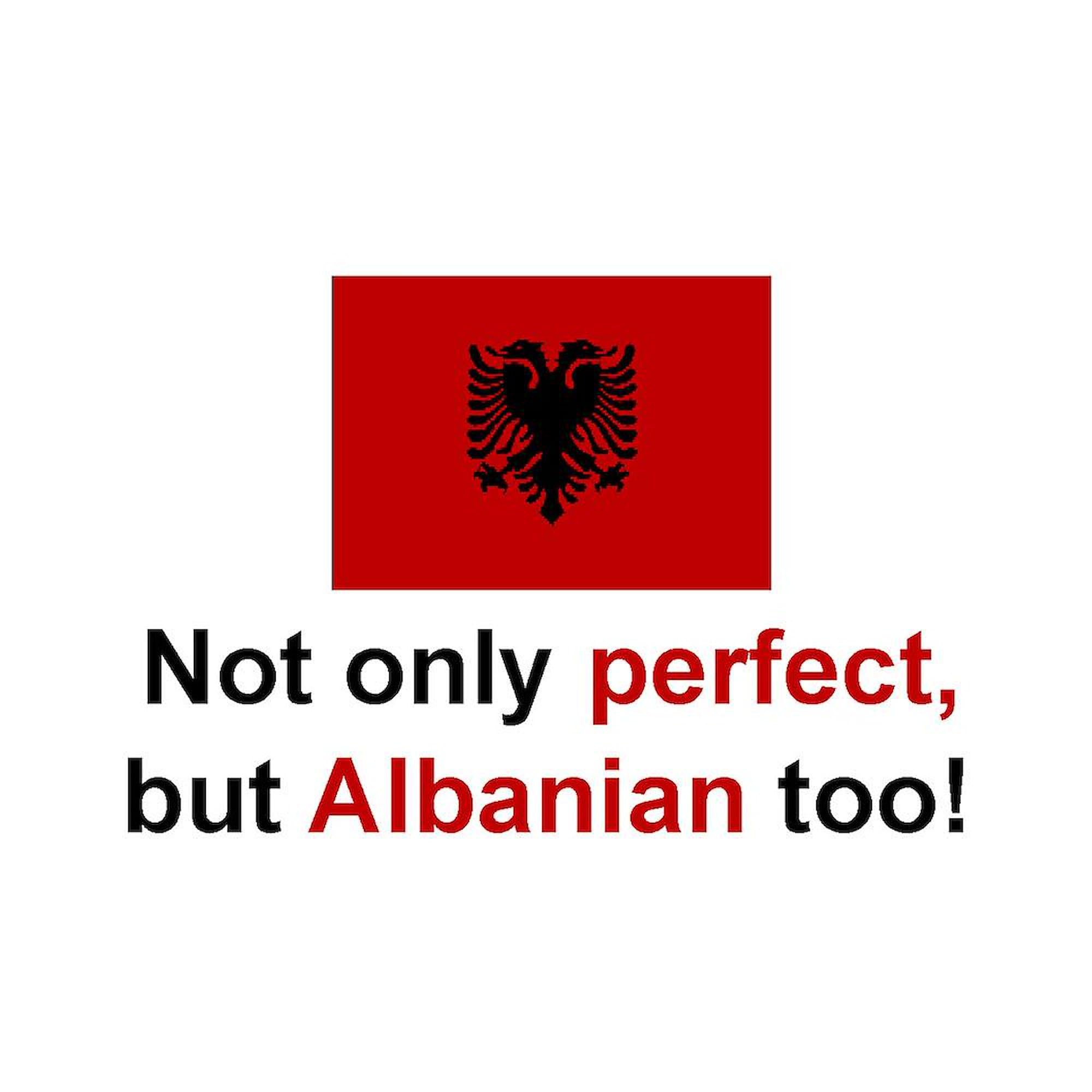 CafePress Perfect Albanian Mug 11 oz (325 ml) Ceramic Coffee Mug