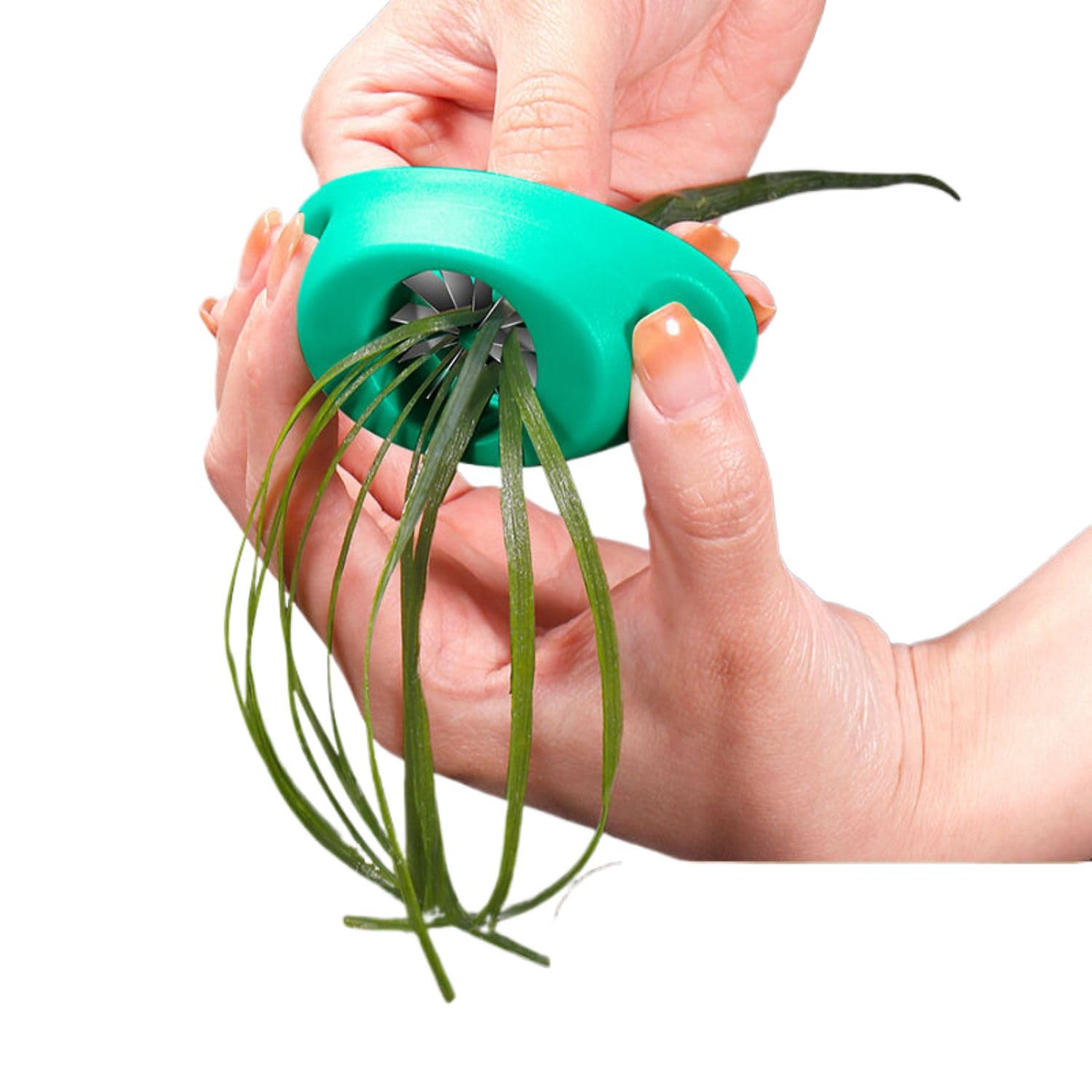 Kitchen DIY tofu shredder cauliflower - scallion shredder ??DIY?????304???????????-??????????