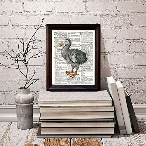 Dodo Bird - Dictionary Art Print