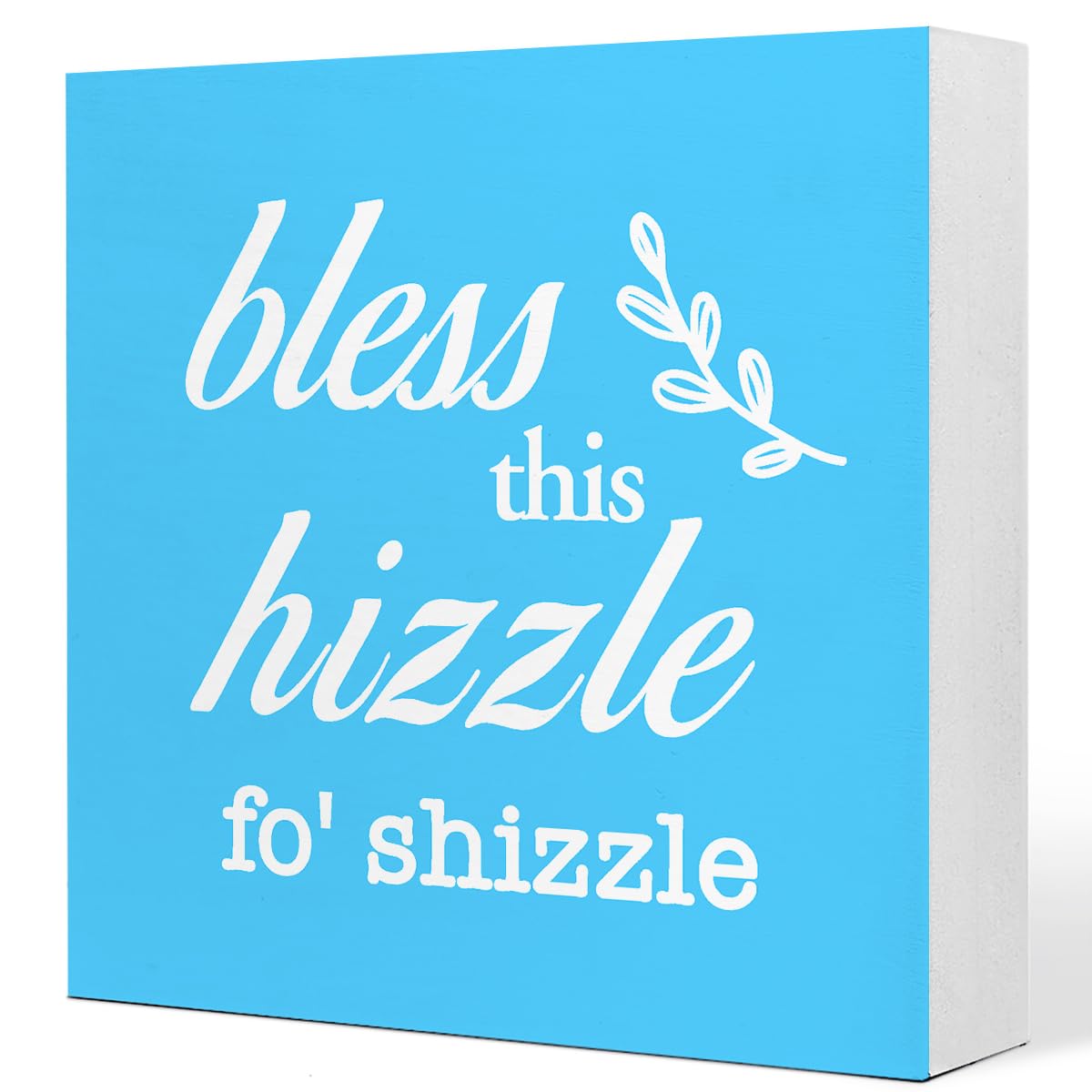 Blue Bless This Hizzle for Shizzle Sign Wooden Block,Funny Humor Home Decor for Shelves,Farmhouse Home Desk Decor,House Warming 