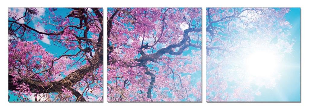 Go Hooked Mdf Wall Painting/Hanging Art/Home Decor (28 Cm X 9 Cm X 28 Cm, 3 Frames, Mdf3Sb-61005)