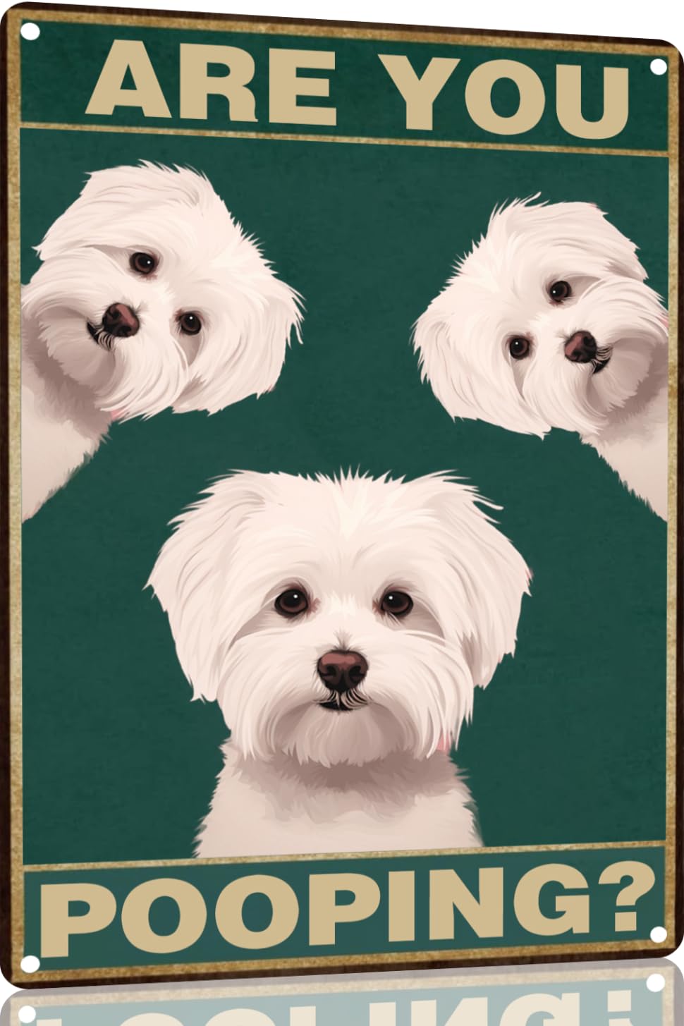 Toppacific Maltese Dog 12X16 Inch Are You Pooping Sign Bathroom Decor- Dog Metal Poster Dog Lover Gift Art Funny Dogs Wall Art D