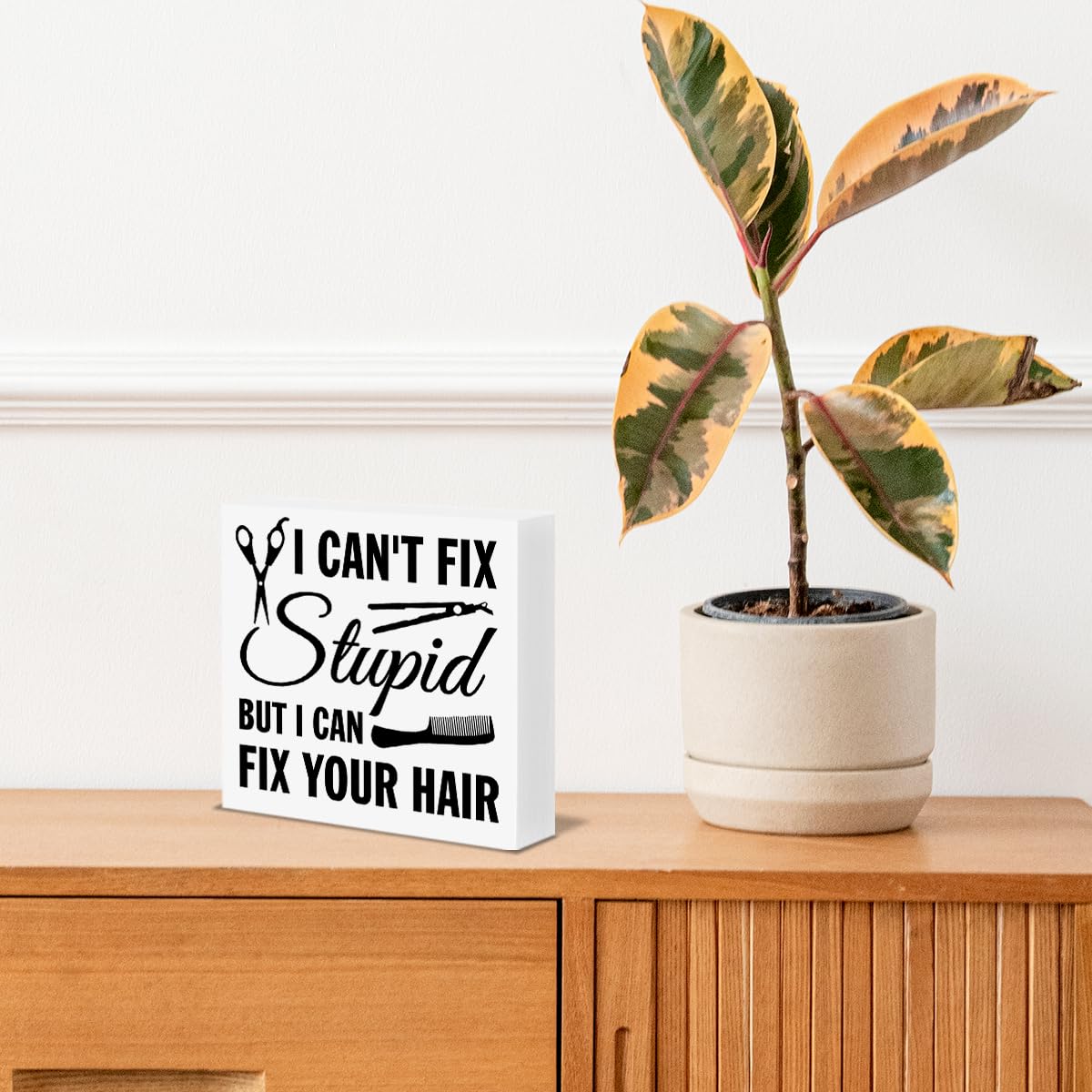 Funny Hair Salon Decor I Can't Fix Stupid but I Can Fix Your Hair Wooden Box Block Sign Gifts for Hair Stylist Hairdresser Hairs