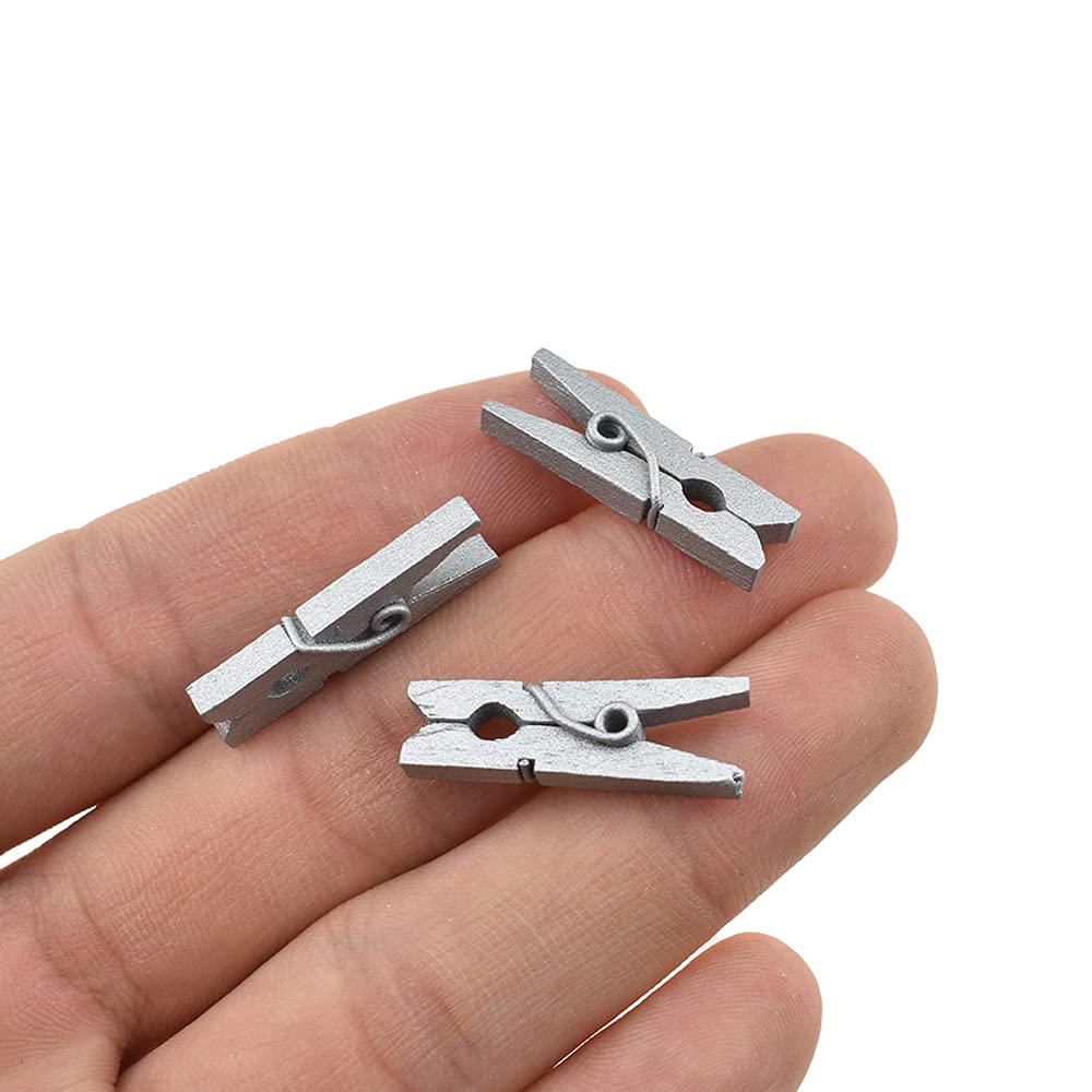 Hahiyo Silver Wooden Clothes Pins Clothespins Mini Do Not Fall Apart 1 Inches Length 80 Pack Sturdy Strong Springs No Rust No Di