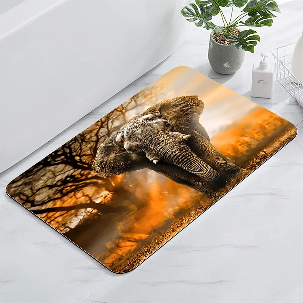 Ohtmtho 17''X24'' Bathroom Rugs Non Slip Washable Bath Mat Small Door Floor Mat Printed With African Elephant Orange