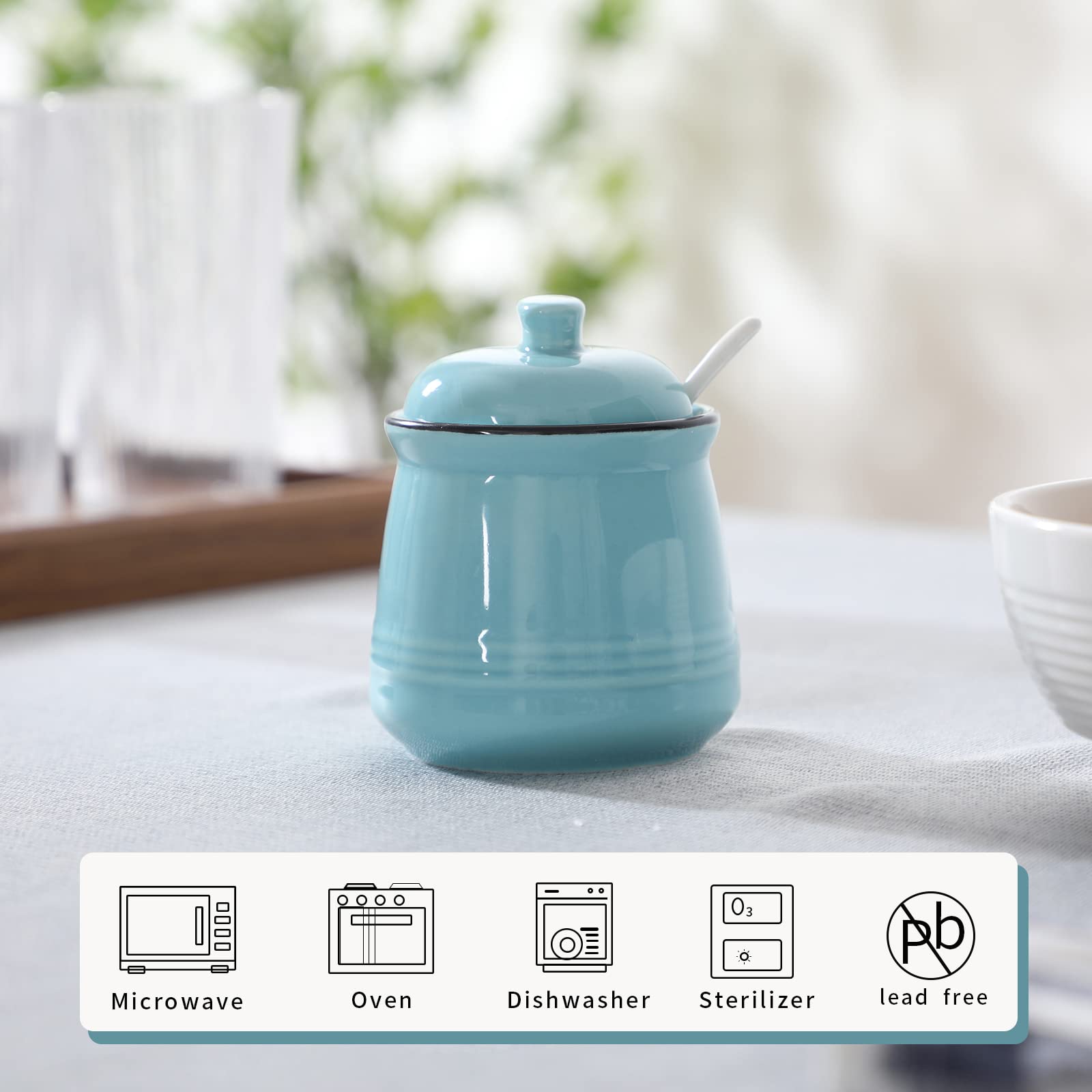 HAOTOP Porcelain Salt Bowl with Lid and Spoon Ceramic Sugar Bowl 12oz (Turquoise)