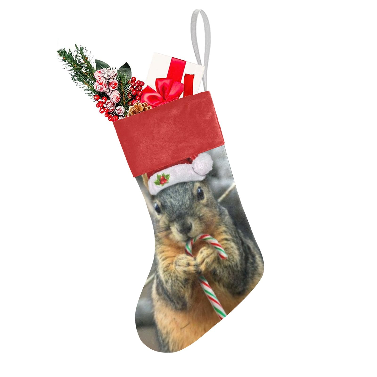 SunFancyCustom Christmas Squirrel Christmas Stocking with Name Custom Xmas Stockings for Family Wedding Party Decor 17.52 x 7.87