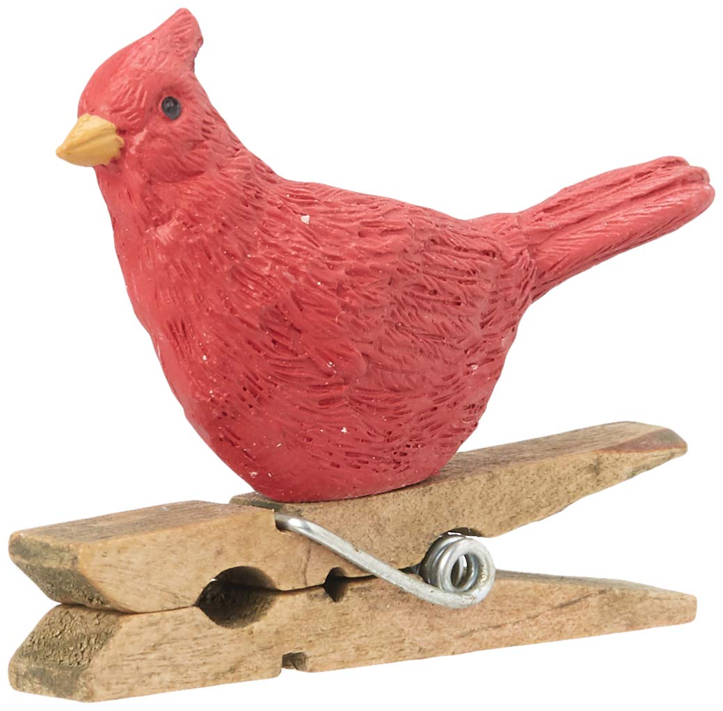Blossom Bucket S/2 Red Bird On Clips Decoration, Multi-Color