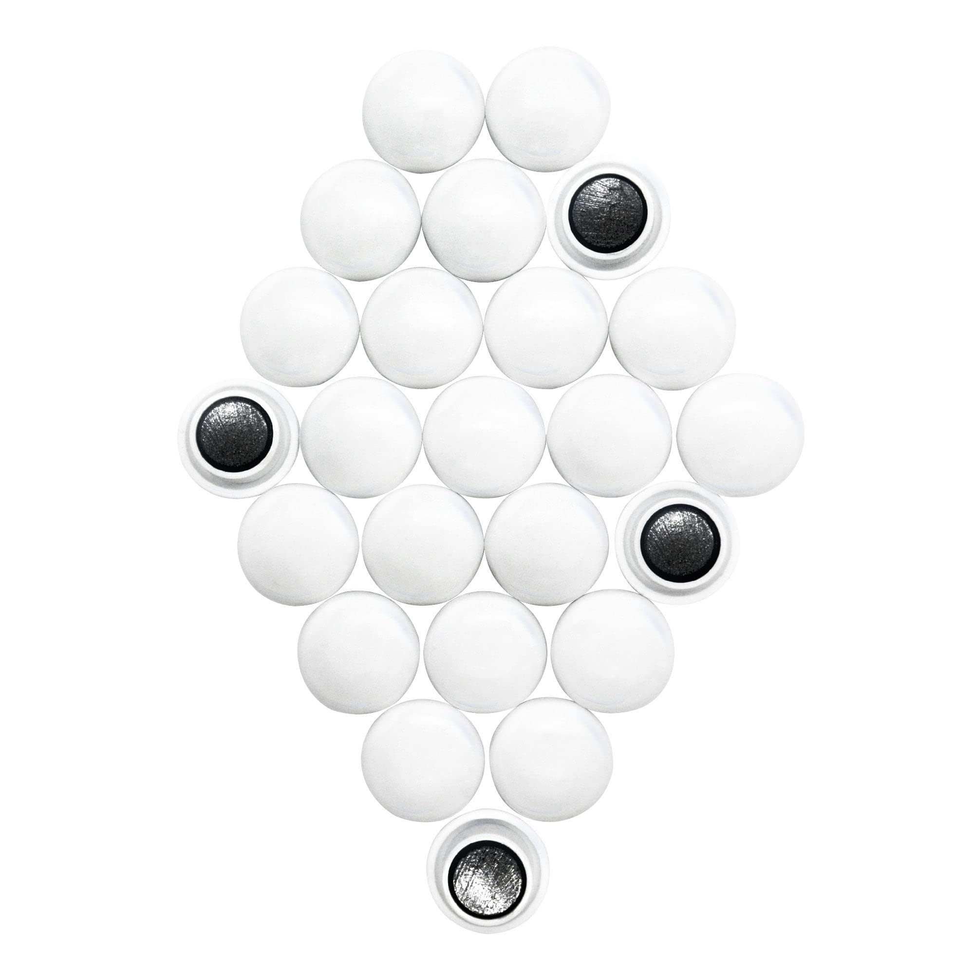 Small Planning & Notice Board Magnets - Assorted (1 Pack Of 24) (Pack Of 1)