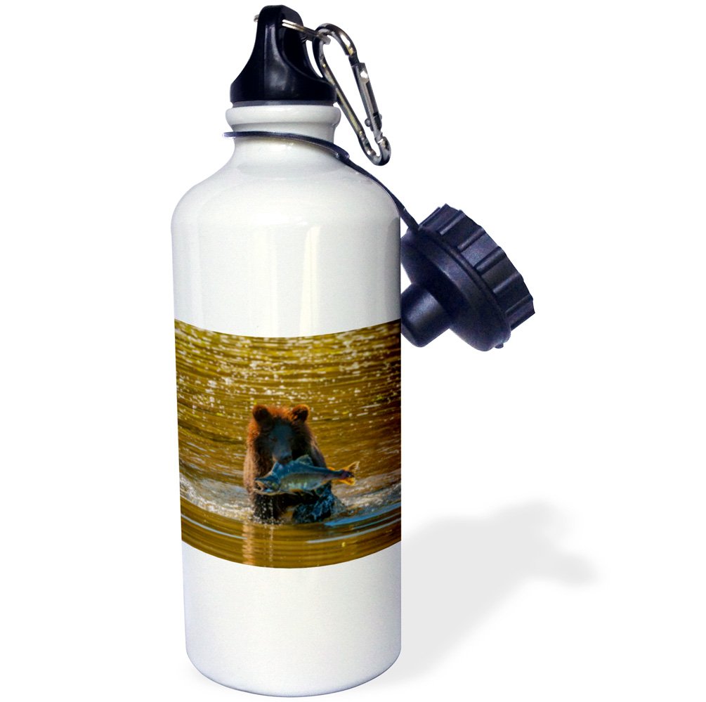 3dRose USA, Alaska, Tongass NF. Young grizzly catches a salmon Admiralty Is. -Sports Water Bottle, 21oz , Multicolored