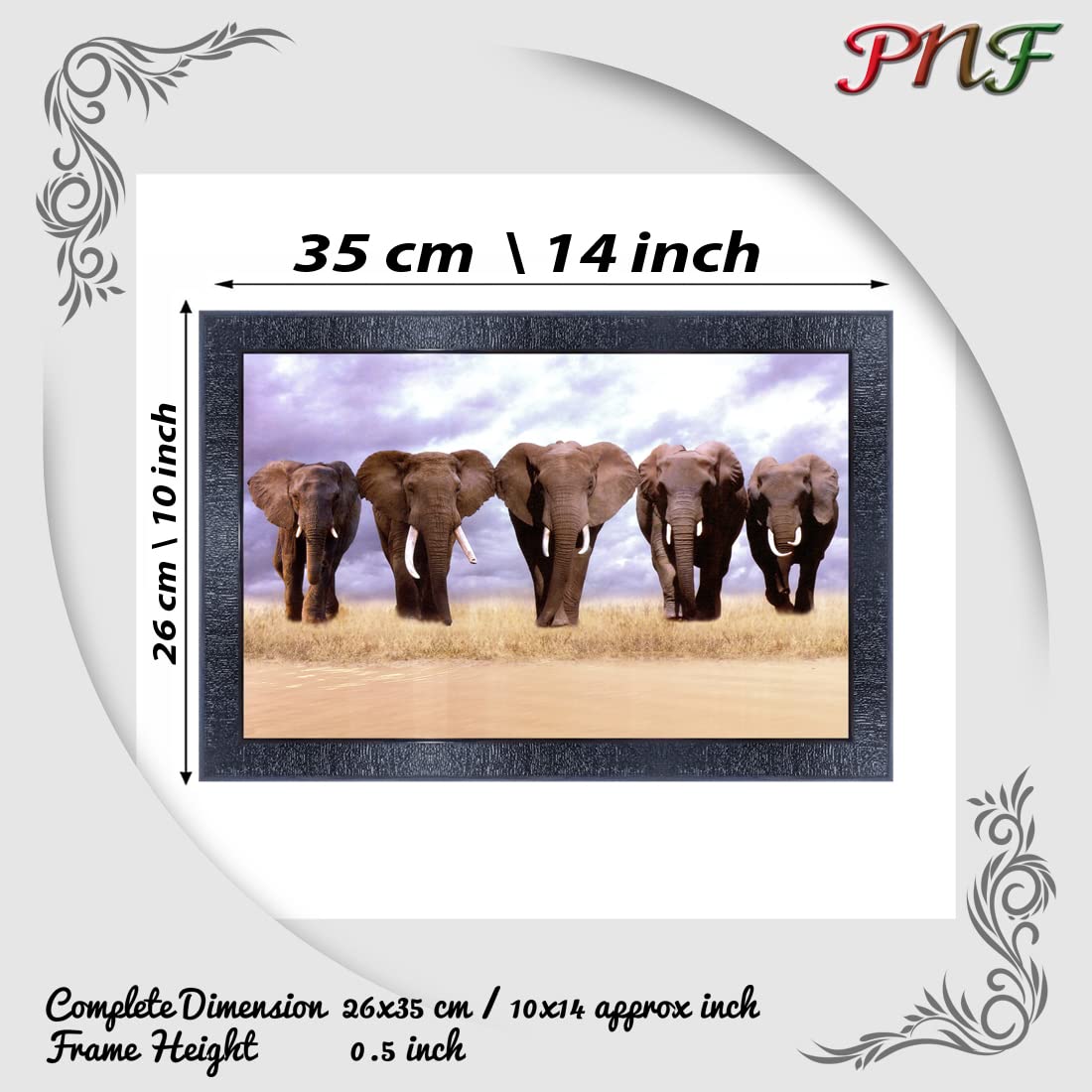 Pnf Poster And Frames Elephant Wall Painting With Acrylic Sheet | For Living Room, Bedroom | Home Decoration Item | Best Gifting