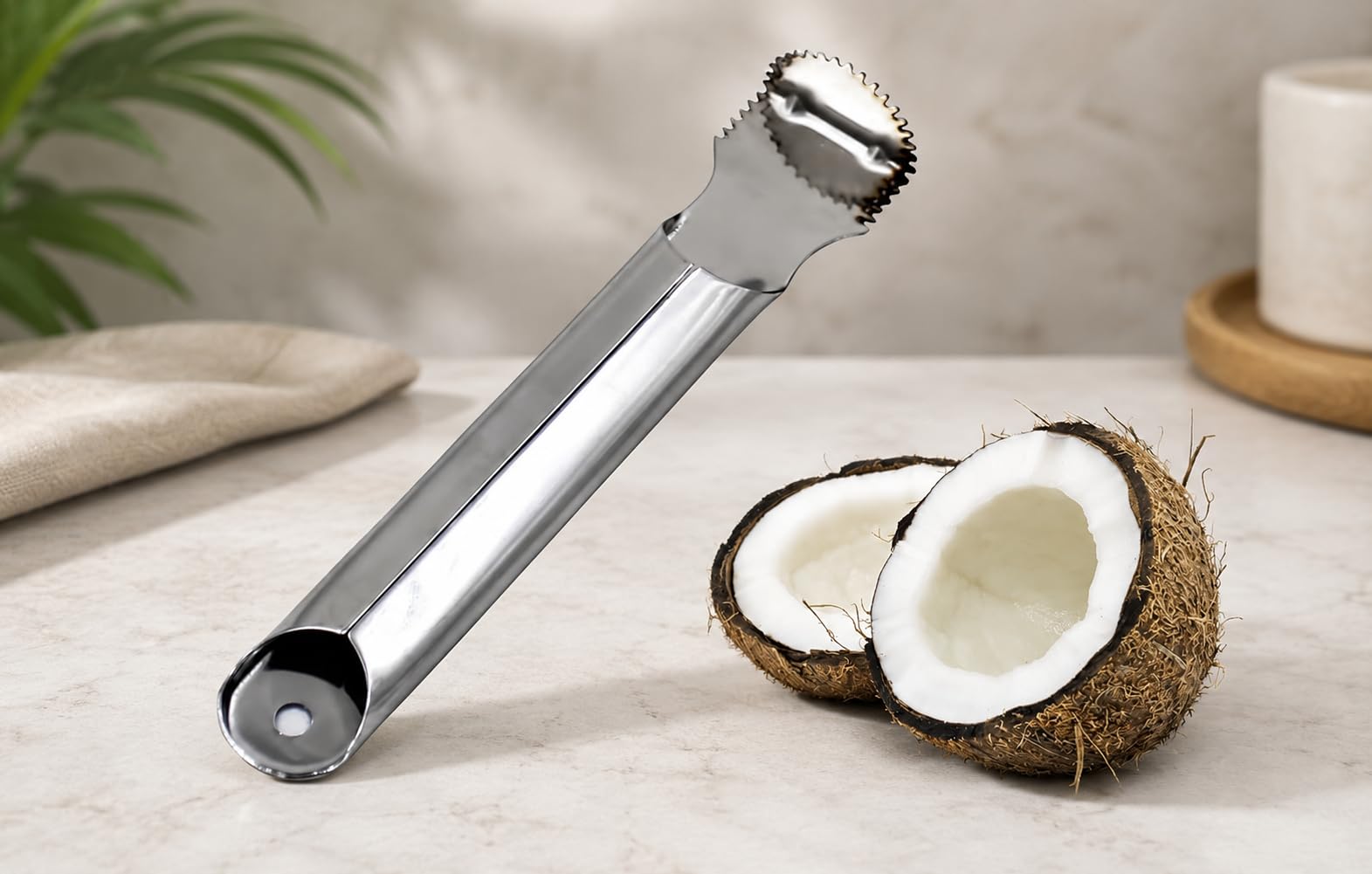 Gs Stainless Steel Hand Coconut Scraper Peeler/Coconut Grater For Making Gravy & Chutney, Set Of 1