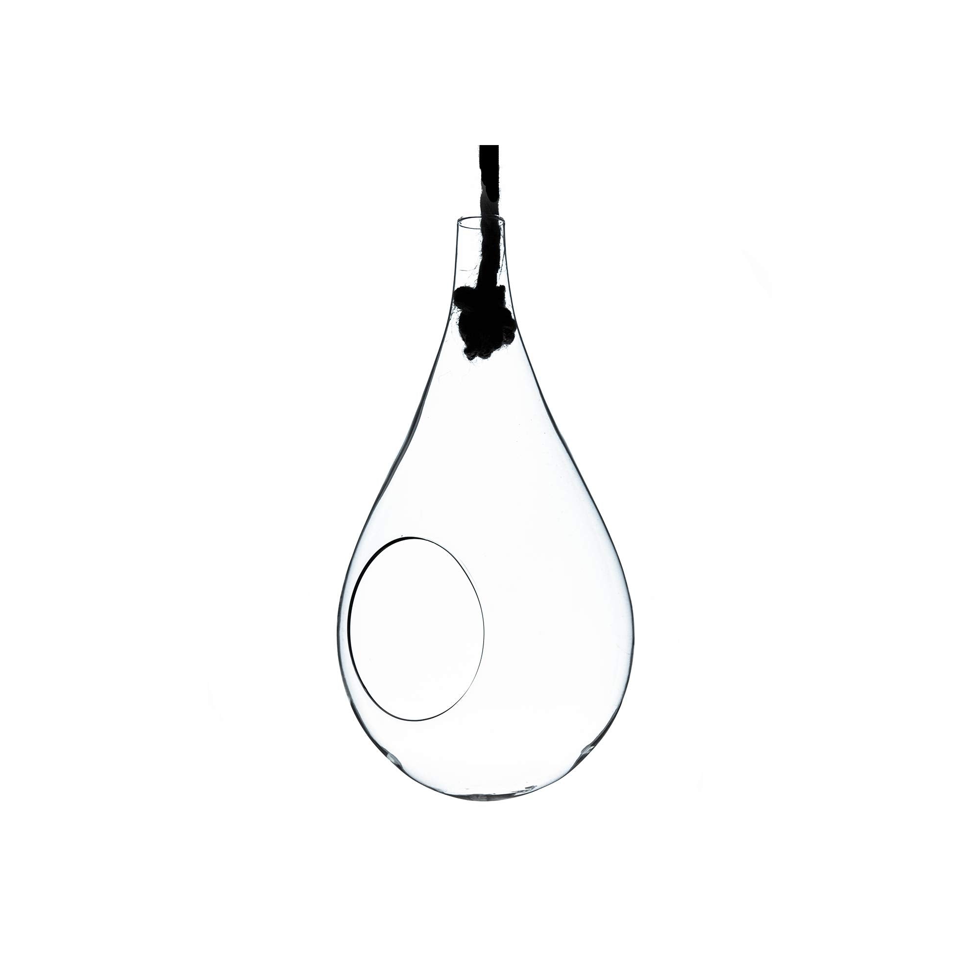 WGV Hanging Planter Terrarium, Width 5, Height 9.5, DIY Clear Glass Succulents Air Teardrop Floral Container (Including Rope), C