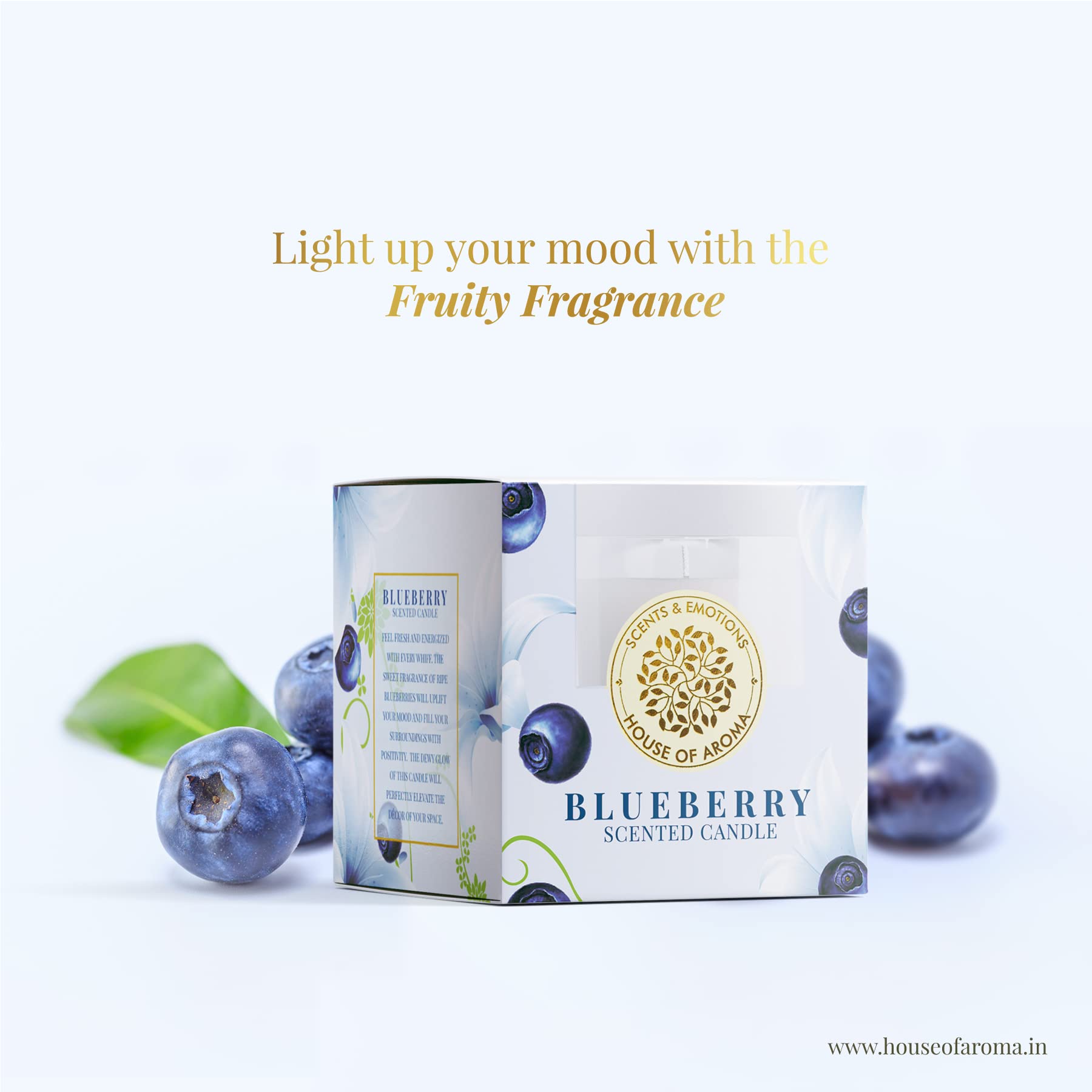 House of Aroma Blueberry Scented Glass Candle Made of Beeswax, Paraffin Wax & Aromatic Oils, Burns Up to 10-12 Hours| Fragrance