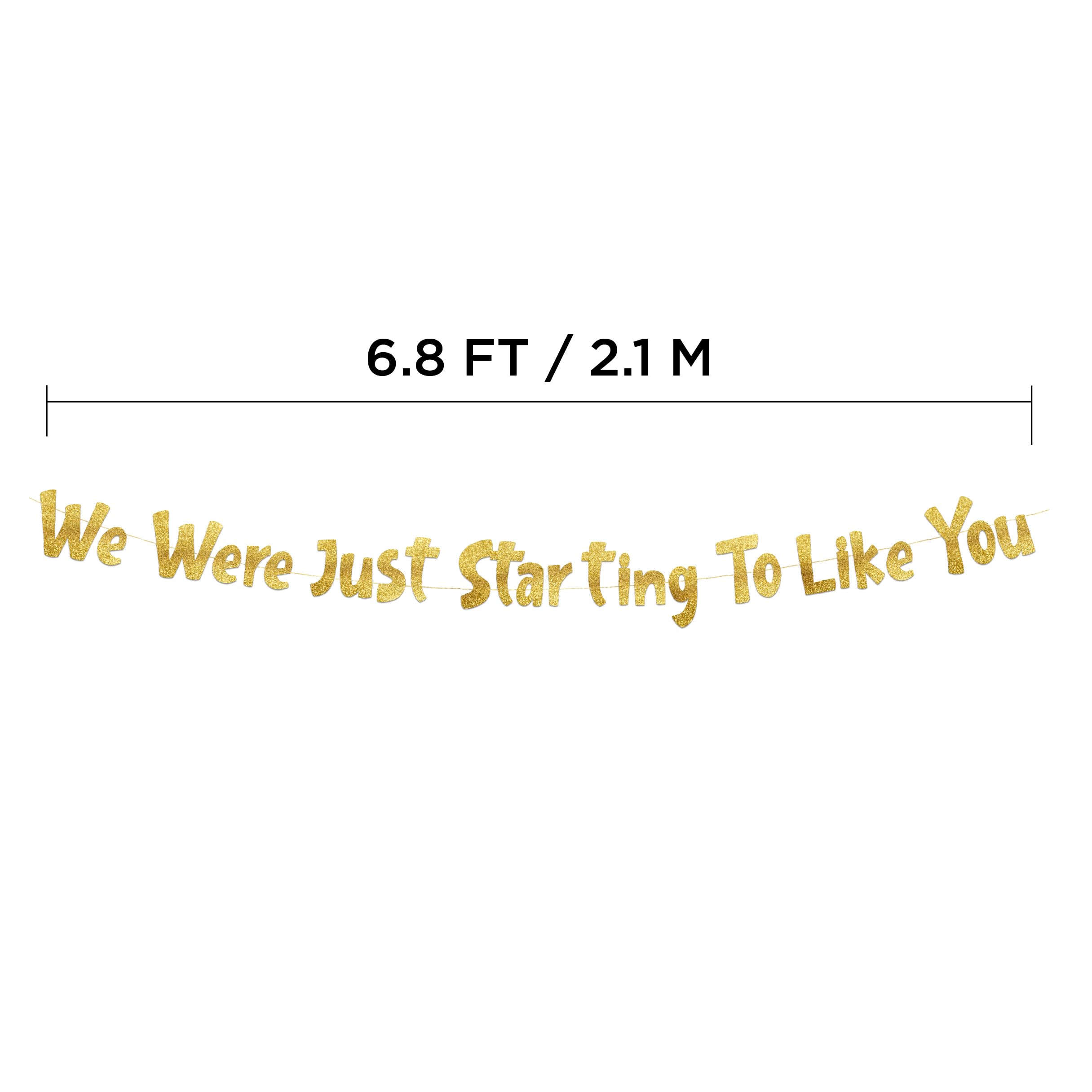 We Were Just Starting To Like You Gold Glitter Banner - Going Away Party - Moving Party - New Job - Will Miss You - Funny Retire