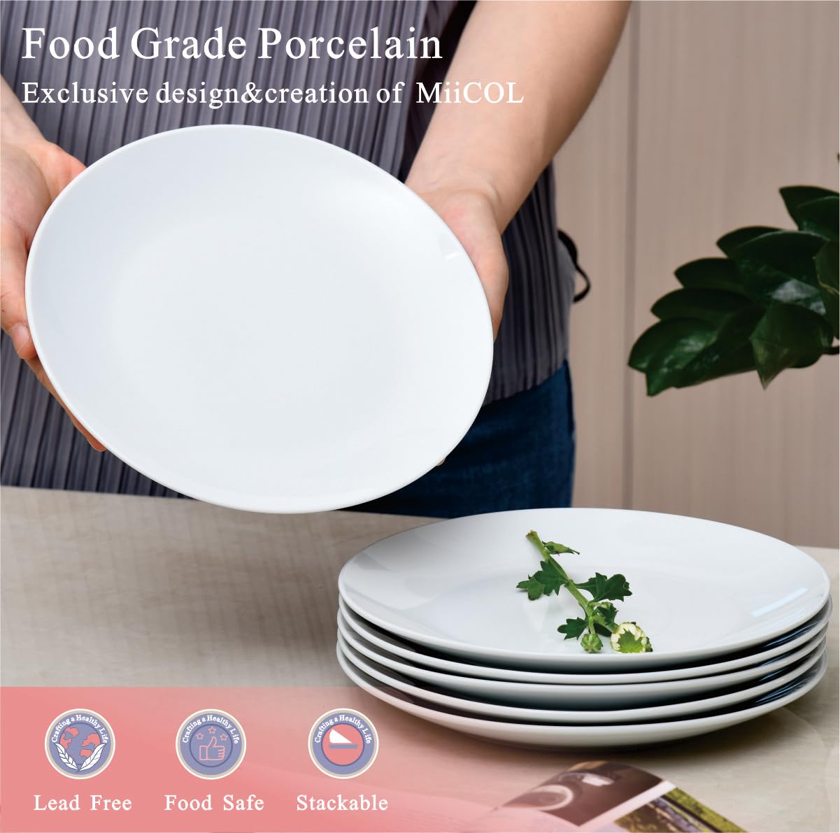 Miicol Ceramic Appetizer Plates Set Of 6, White Dessert Plates 8 Inch, Small Dinner Plates, Modern Round Salad Plates, Porcelain