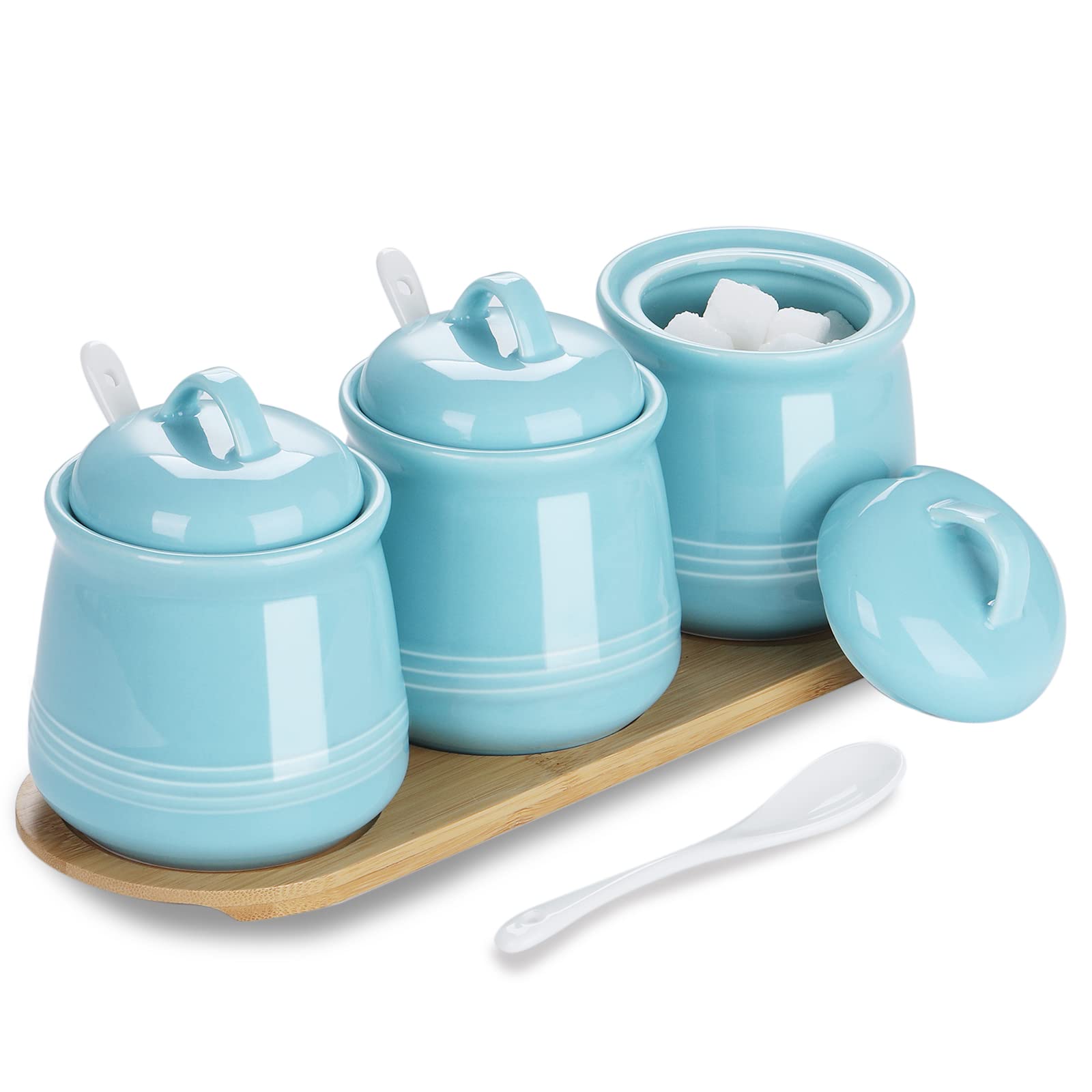 Haotop Porcelain Condiment Jar 3 Pack Set With Tray, 12 Ounces Turquoise