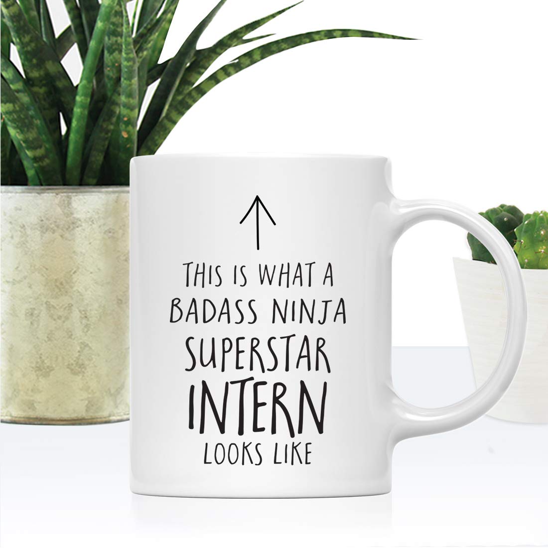 Andaz Press Funny 11oz. Ceramic Coffee Tea Mug Gift, This is What a Badass Ninja Superstar Intern Looks Like, 1-Pack, Birthday C