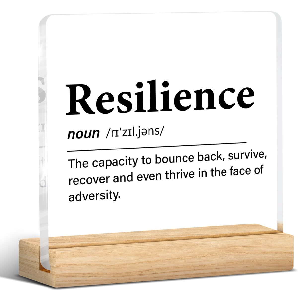 Inspirational Gifts for Women Men, Motivational Encouragement Gifts Resilience Definition Clear Acrylic Desk Decor Decorative Si