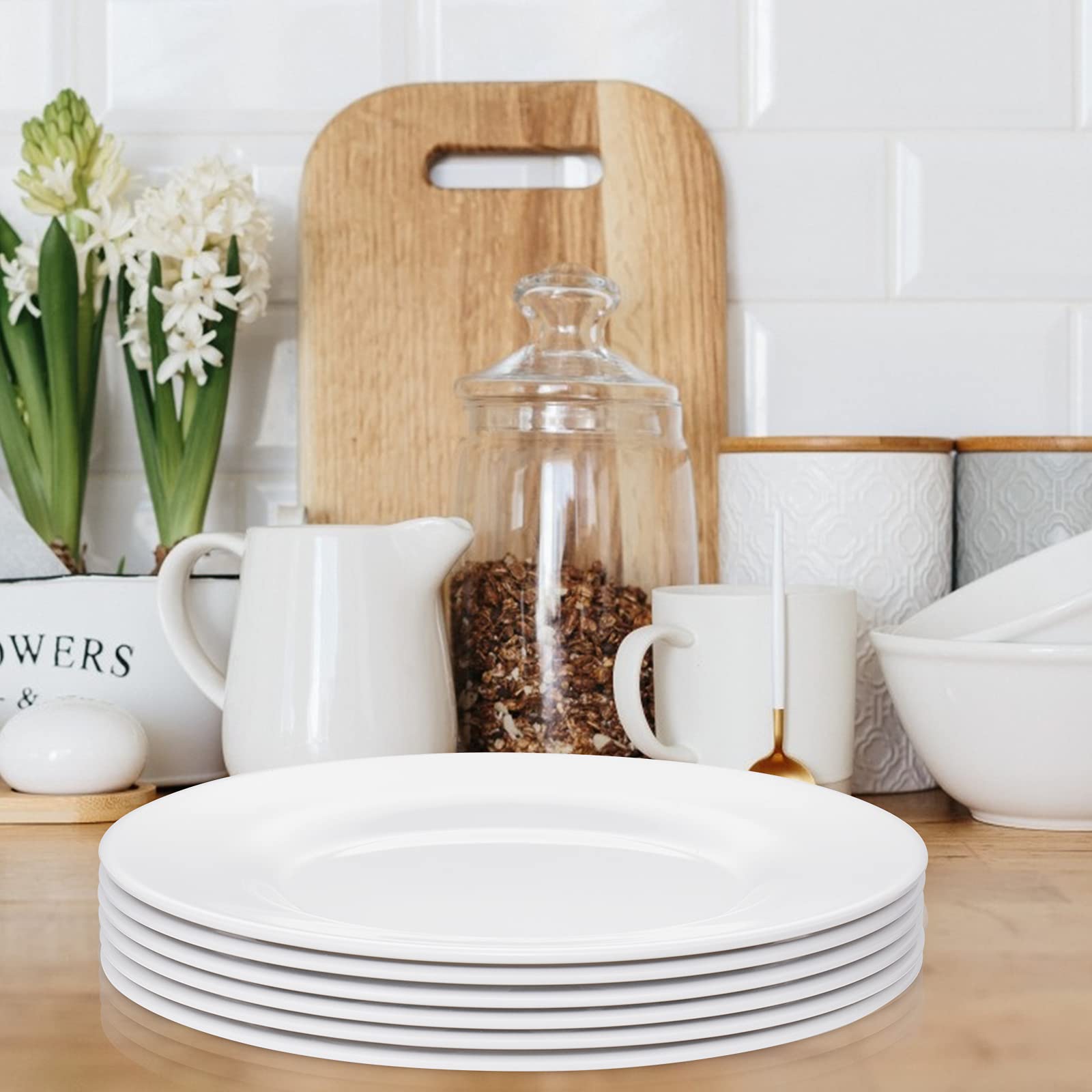 Hsdt Melamine Dinner Plates,Round,Wide Side, Deep Plate,White,10 Inches,Set Of 6,Pyw-10-06