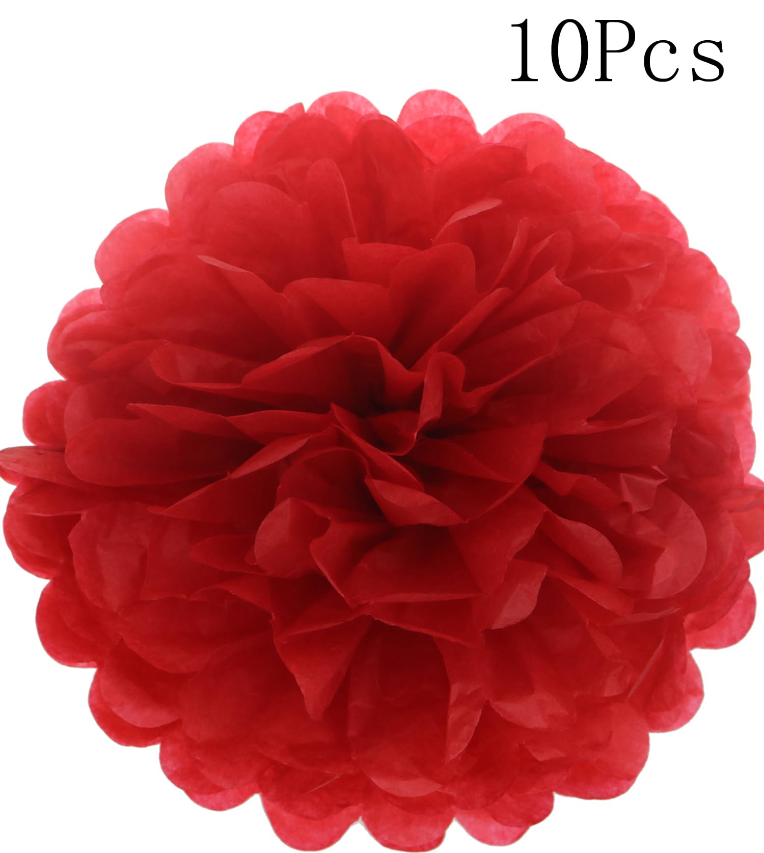 Lightingsky 10Pcs Diy Decorative Tissue Paper Pom-Poms Flowers Ball Perfect For Party Wedding Home Outdoor Decoration (10-Inch D