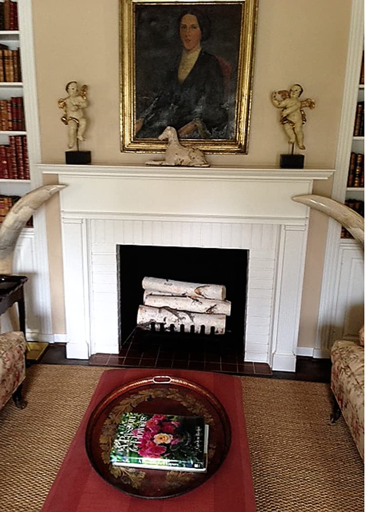Wilson Birch Fireplace Large Log Set (5 Logs: 3''-5'' Dia. X 15.5-17.5'' Long)