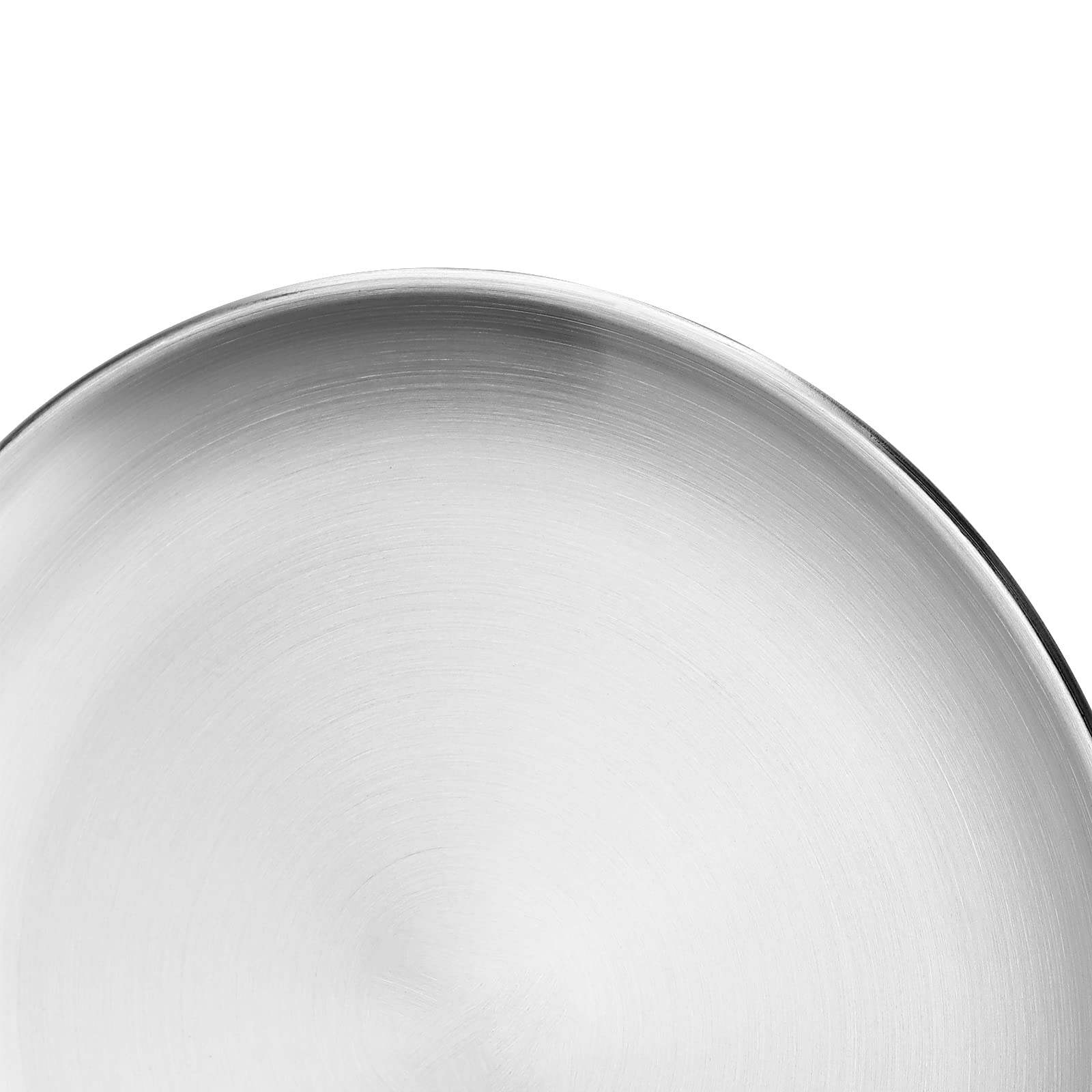 Ningwaan 6 Pack 12 Inch Stainless Steel Dinner Plates, Double Layer Round Metal Plates, Silver Brushed Metal Dinner Plates For P